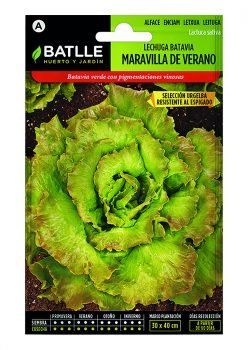 LECHUGA BATAVIA MARAVILLA BATLLE