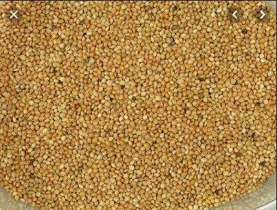 Captura de pantalla 2020 01 27 a la(s) 14.15.31