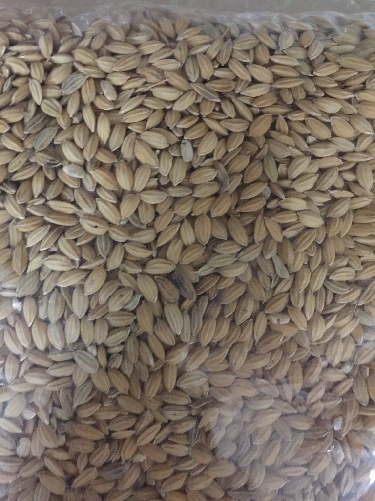 UNADJUSTEDNONRAW thumb 39f8