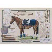 El caballo necesita un cuidado y mantenimiento completo, variado y adecuado para poder aprovechar al máximo de su rendimiento. Equiparlo con todo lo necesario para que crezca y se mantenga en su estado óptimo de salud y bienestar.