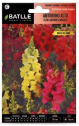 Captura de pantalla 2020 02 03 a la(s) 11.08.52