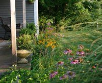 Dentro de uu jardín cada planta, árbol o flor tiene carencias provocadas por el clima, tipo de tierra y cuidado. Os presentamos un amplia variedad de productos correctores y curativos para ayudar a que se mantenga sano y en perfecto estado.
Disponemos de ayuda profesional, por si necesitaS consejo u orientación.
*El suministro de estos productos es exclusivo en tienda por normativa (artículo 48.2 del reglamento CLP).