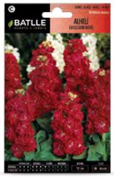 Captura de pantalla 2020 02 03 a la(s) 10.08.44