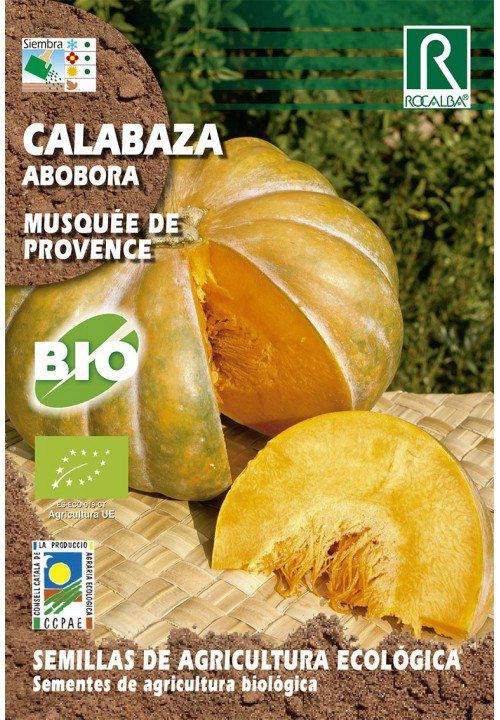 calabaza