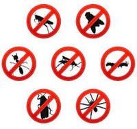 Se conoce como plaga a la irrupción súbita y multitudinaria de insectos, animales u otros organismos de una misma especie que provoca diversos tipos de perjuicios. El concepto, de todas formas, puede entenderse de diferentes maneras.
*El suministro de estos productos es exclusivo en tienda por normativa (artículo 48.2 del reglamento CLP).